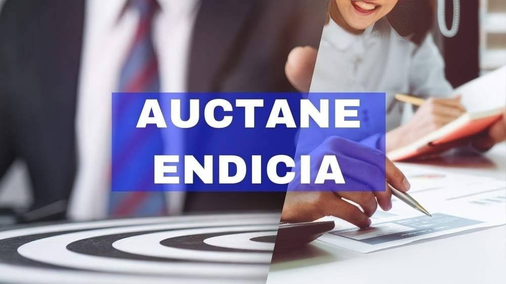 Auctane Endicia’s Solutions The Definitive Handbook